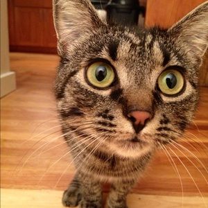 Meet your Posher, Elena